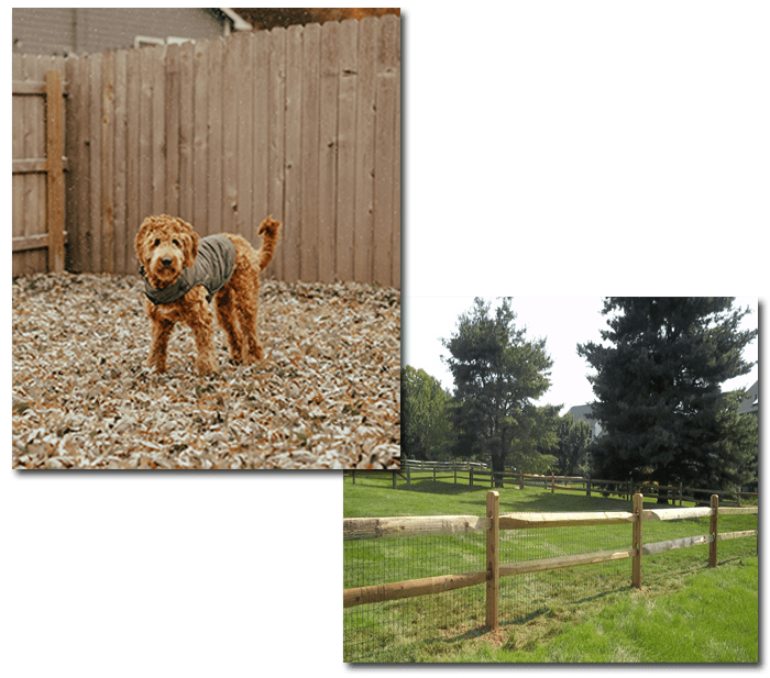 Pet fence installation contractor Saco Maine
