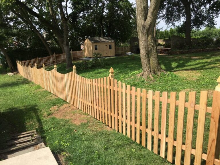 Cedar concave French gothic